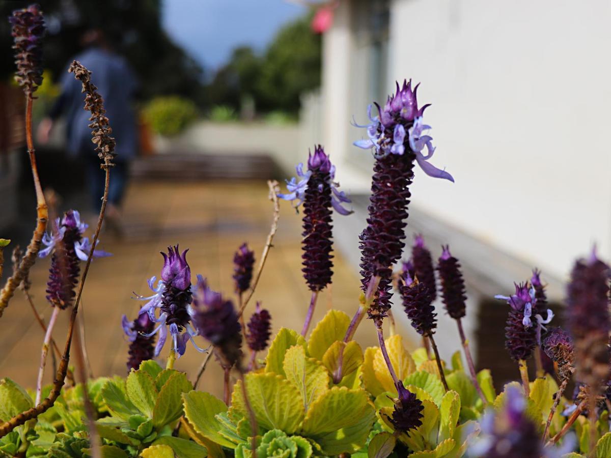Bellum Hotel Mount Gambier Dış mekan fotoğraf